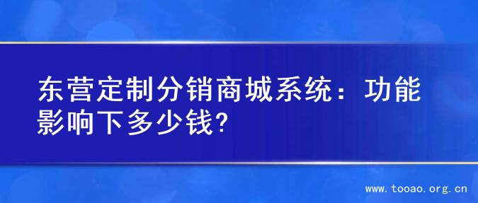 东营定制分销商城系统：功能影响下多少钱?