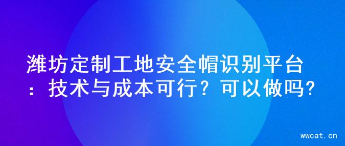 潍坊定制工地安全帽识别平台：技术与成本可行？可以做吗?