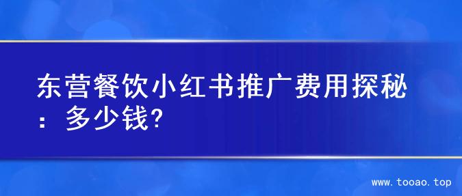 东营餐饮小红书推广费用探秘：多少钱?