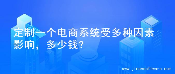 定制一个电商系统受多种因素影响，多少钱?