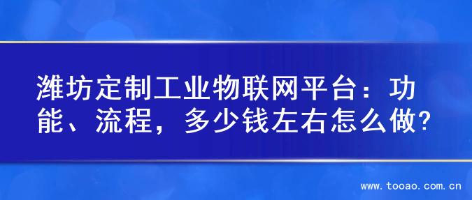 潍坊定制工业物联网平台：功能、流程，多少钱左右怎么做?