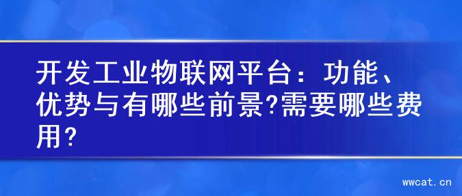 开发工业物联网平台：功能、优势与有哪些前景?需要哪些费用?