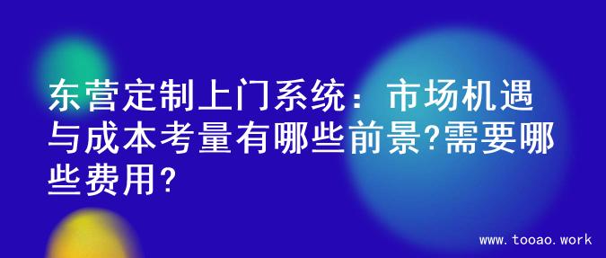 东营定制上门系统：市场机遇与成本考量有哪些前景?需要哪些费用?