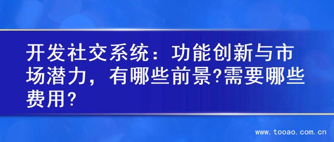 开发社交系统：功能创新与市场潜力，有哪些前景?需要哪些费用?