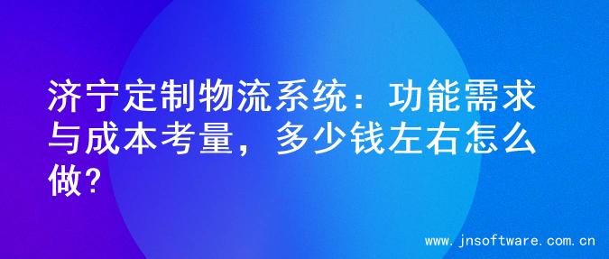 济宁定制物流系统：功能需求与成本考量，多少钱左右怎么做?