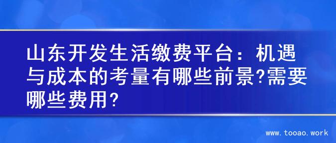 山东开发生活缴费平台：机遇与成本的考量有哪些前景?需要哪些费用?