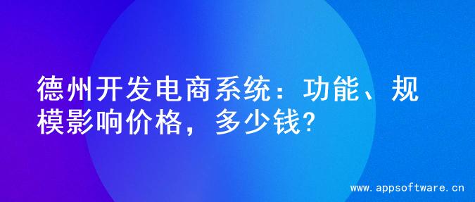 德州开发电商系统：功能、规模影响价格，多少钱?