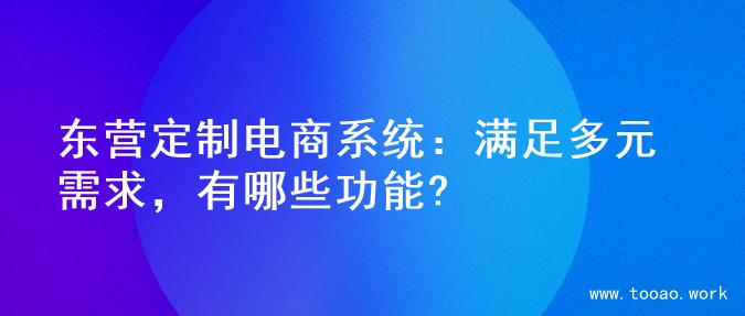 东营定制电商系统：满足多元需求，有哪些功能?