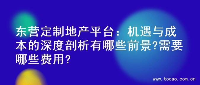 东营定制地产平台：机遇与成本的深度剖析有哪些前景?需要哪些费用?
