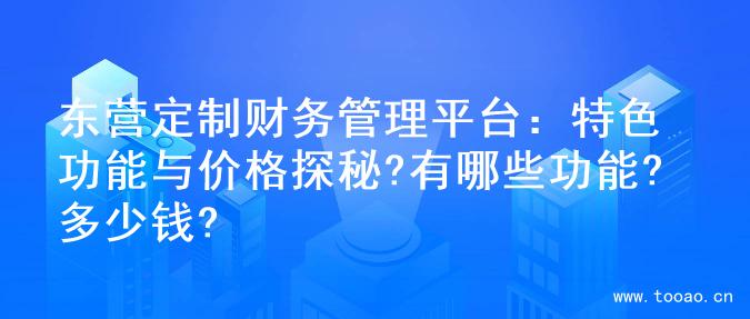 东营定制财务管理平台：特色功能与价格探秘?有哪些功能?多少钱?