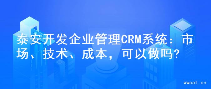 泰安开发企业管理CRM系统：市场、技术、成本，可以做吗?