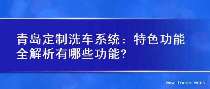 青岛定制洗车系统：特色功能全解析有哪些功能?