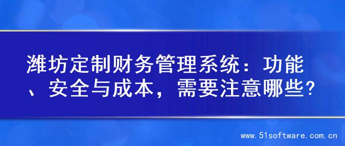 潍坊定制财务管理系统：功能、安全与成本，需要注意哪些?