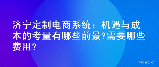济宁定制电商系统：机遇与成本的考量有哪些前景?需要哪些费用?