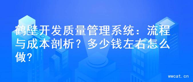 鹤壁开发质量管理系统：流程与成本剖析？多少钱左右怎么做?