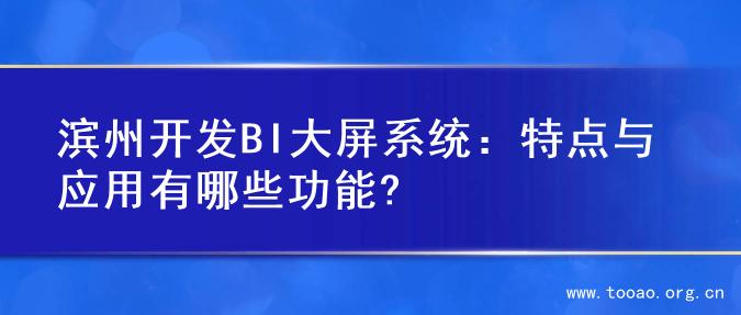 滨州开发BI大屏系统：特点与应用有哪些功能?