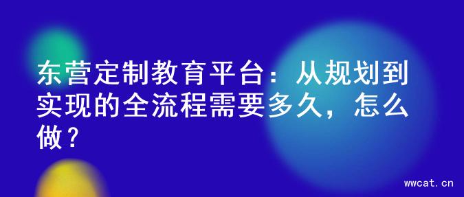 东营定制教育平台：从规划到实现的全流程需要多久，怎么做？