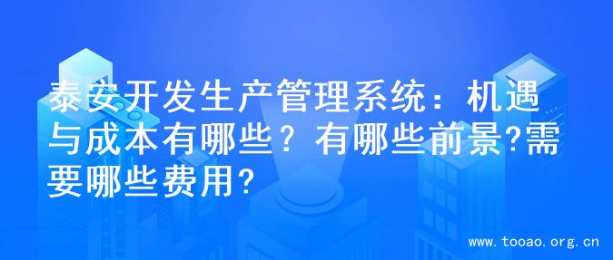 泰安开发生产管理系统：机遇与成本有哪些？有哪些前景?需要哪些费用?