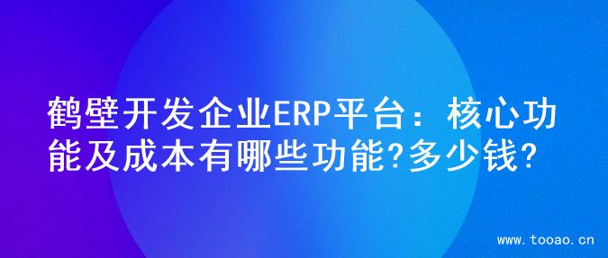 鶴壁開發(fā)企業(yè)ERP平臺：核心功能及成本有哪些功能?多少錢?