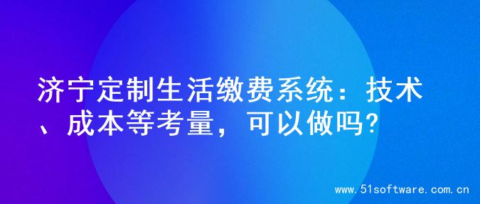 济宁定制生活缴费系统：技术、成本等考量，可以做吗?