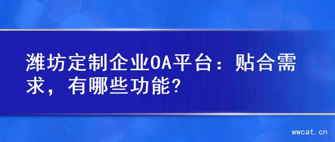 潍坊定制企业OA平台：贴合需求，有哪些功能?