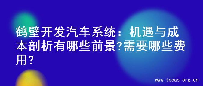 鹤壁开发汽车系统：机遇与成本剖析有哪些前景?需要哪些费用?