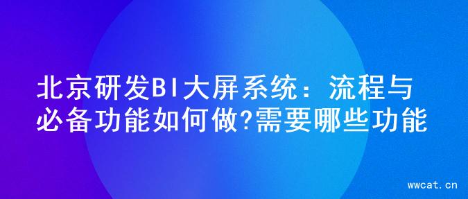 北京研发BI大屏系统：流程与必备功能如何做?需要哪些功能