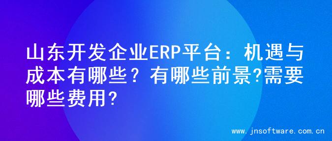 山东开发企业ERP平台：机遇与成本有哪些？有哪些前景?需要哪些费用?