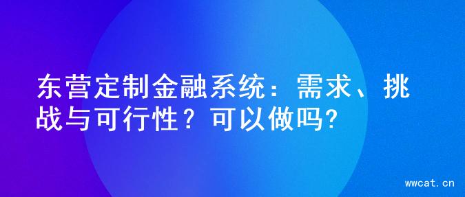 东营定制金融系统：需求、挑战与可行性？可以做吗?