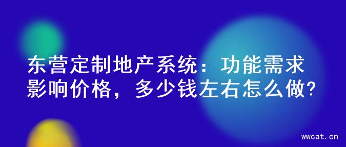 东营定制地产系统：功能需求影响价格，多少钱左右怎么做?