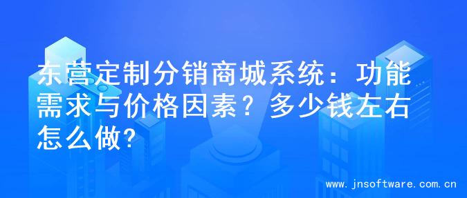东营定制分销商城系统：功能需求与价格因素？多少钱左右怎么做?