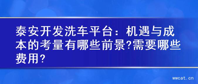 泰安开发洗车平台：机遇与成本的考量有哪些前景?需要哪些费用?