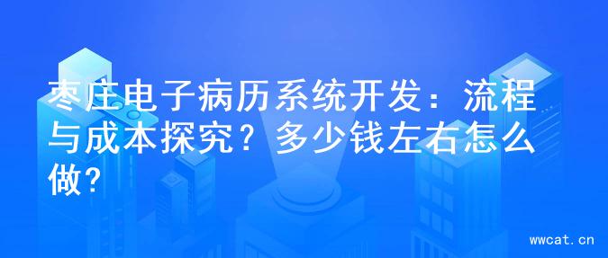 枣庄电子病历系统开发：流程与成本探究？多少钱左右怎么做?