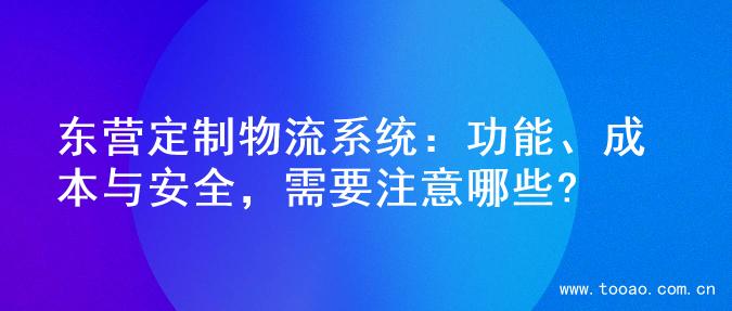 东营定制物流系统：功能、成本与安全，需要注意哪些?