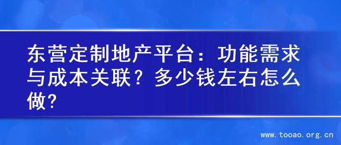 东营定制地产平台：功能需求与成本关联？多少钱左右怎么做?