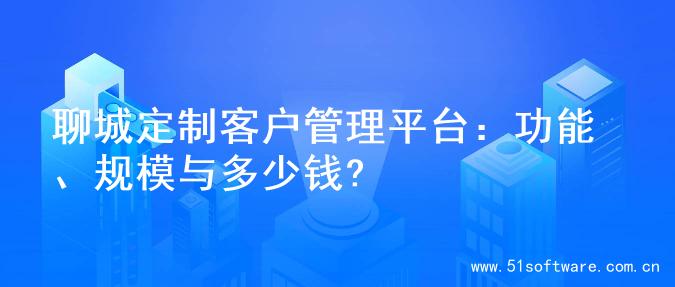 聊城定制客户管理平台：功能、规模与多少钱?