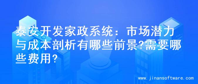 泰安开发家政系统：市场潜力与成本剖析有哪些前景?需要哪些费用?