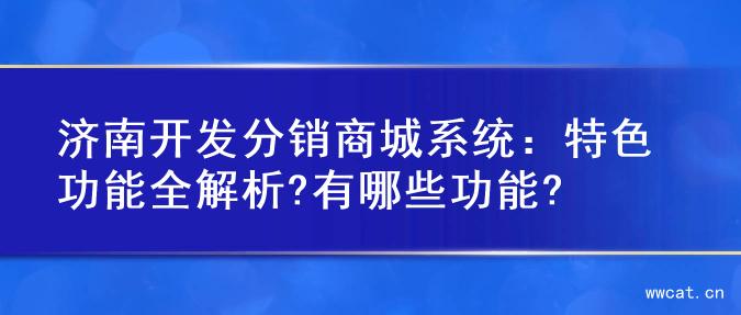 济南开发分销商城系统：特色功能全解析?有哪些功能?