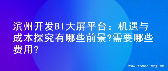 滨州开发BI大屏平台：机遇与成本探究有哪些前景?需要哪些费用?