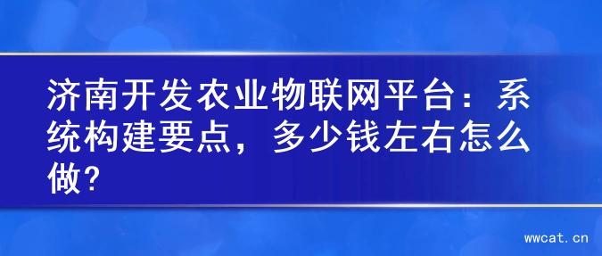 济南开发农业物联网平台：系统构建要点，多少钱左右怎么做?