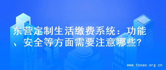 东营定制生活缴费系统：功能、安全等方面需要注意哪些?