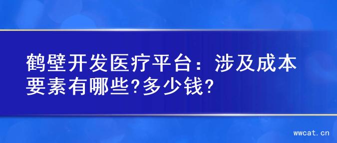 鹤壁开发医疗平台：涉及成本要素有哪些?多少钱?