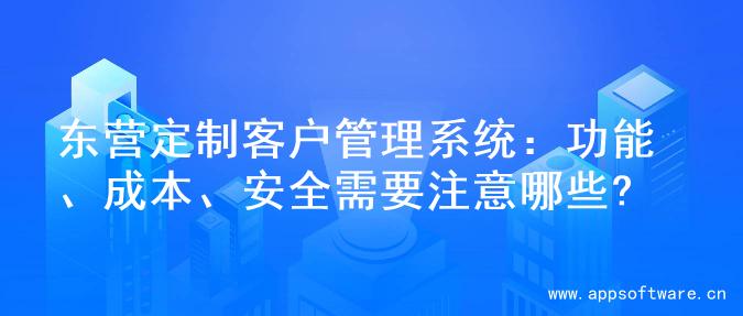 东营定制客户管理系统：功能、成本、安全需要注意哪些?
